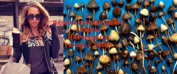 метамфетамин Алексеевка