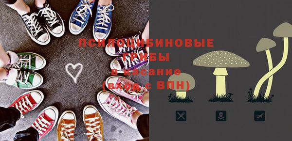 молекула духа Алзамай