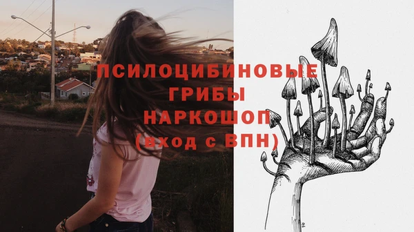 молекула духа Алзамай
