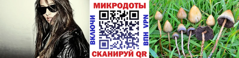 Псилоцибиновые грибы Cubensis  закладка  Калязин 